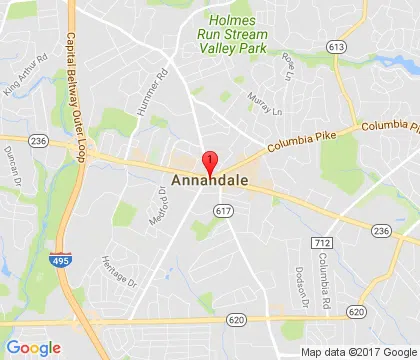 logo-image - annandale-va